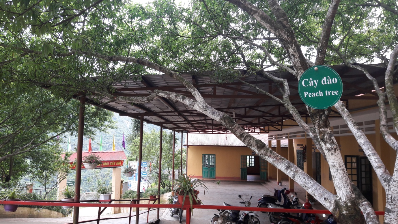 D:\ANH MOI HON\ANH GUI PGD\BIEN HUONG DAN PCCC.jpg